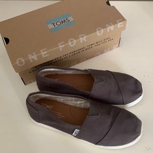 TOMS ash canvas classic